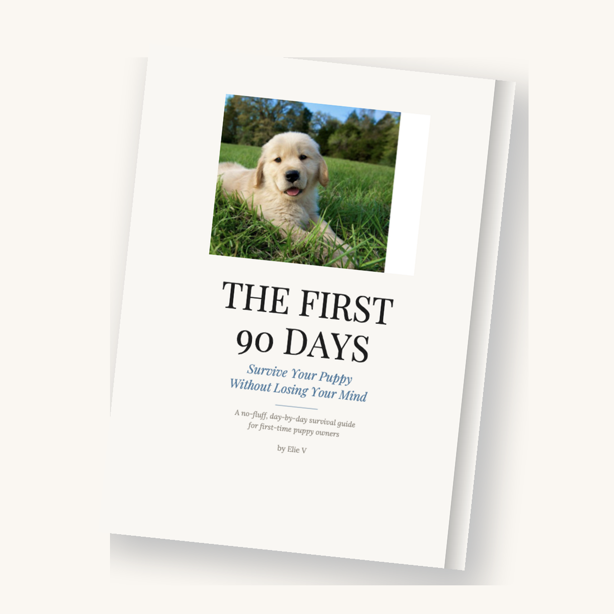 The First 90 Days — puppy survival guide cover