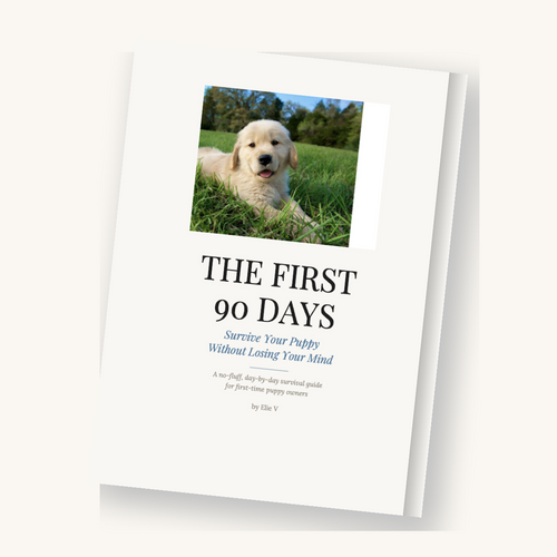 The First 90 Days — puppy survival guide cover